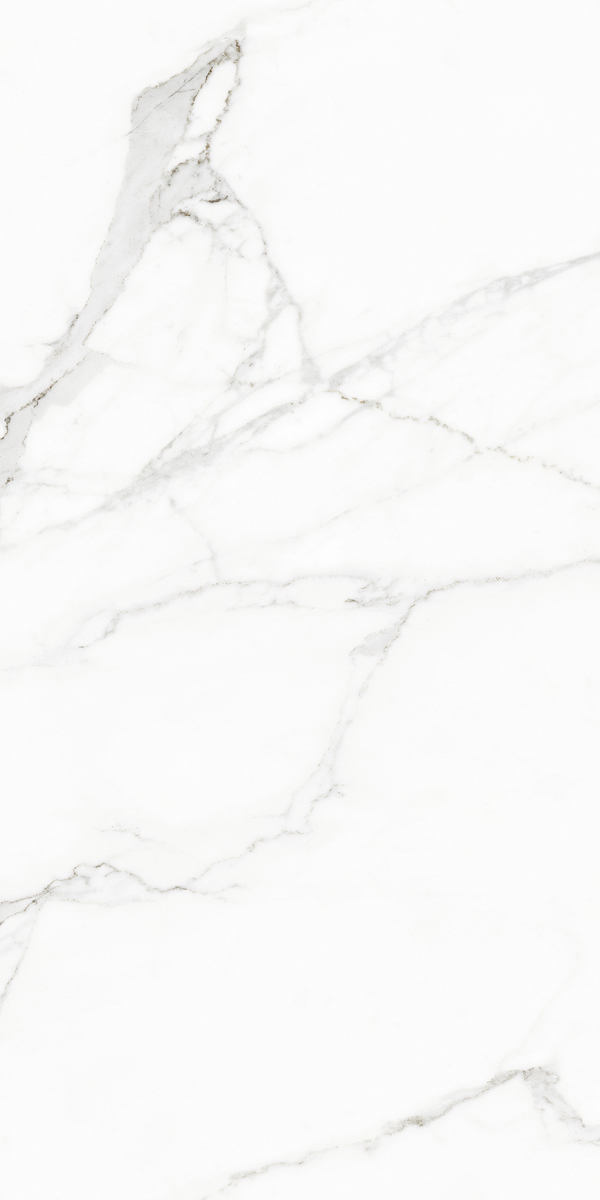 Керамогранит RHAPSODY WHITE BEAUTY LEV RET 60X120 арт. 83009