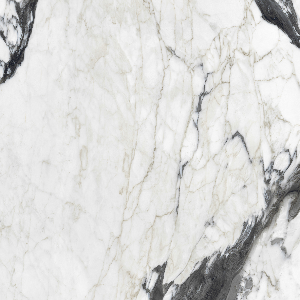 Керамогранит BIJOUX CALAC ALTISSIMO MAT 6MM R	120X120 арт. 83901