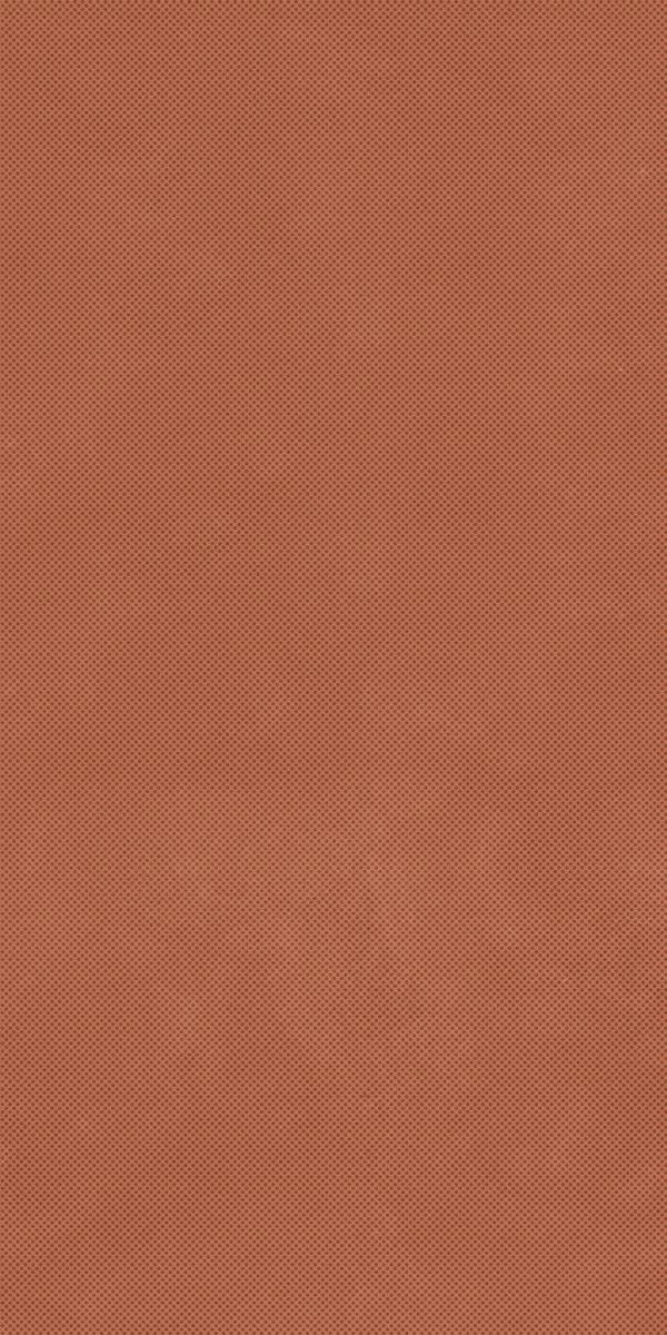 Керамогранит RETINA PAT6 CARMI12 RM арт. 123228