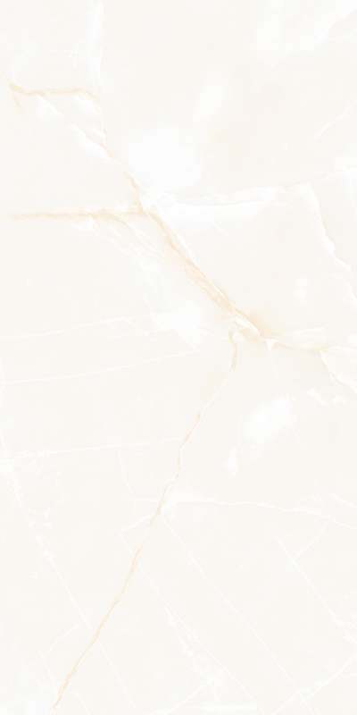 6001 Onyx Blanco Polished 60x120 (46,08) арт. 49527