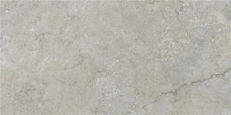 GOBI NATURAL MT 60X120 RECT (S-TECH) арт. 58445