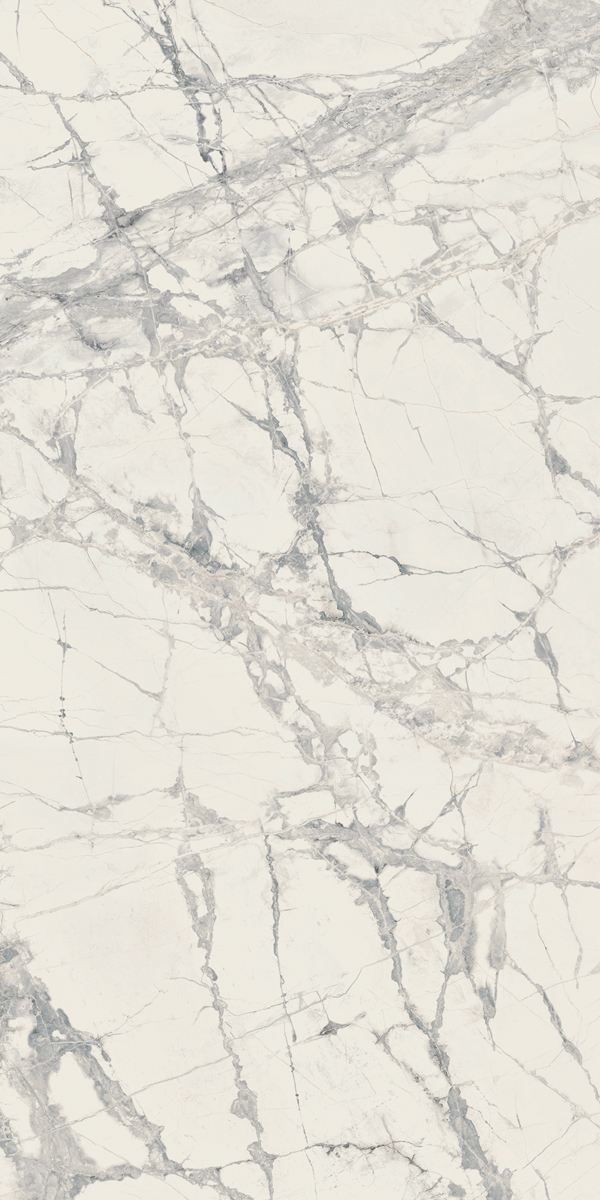 Керамогранит PREXIOUS REX MOUNTAINTREASURE MAT 60X120R арт. 83782