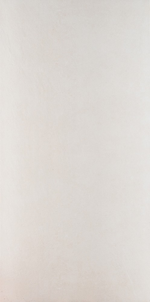 Плитка Bone Hagen 60х120 см арт. 129237