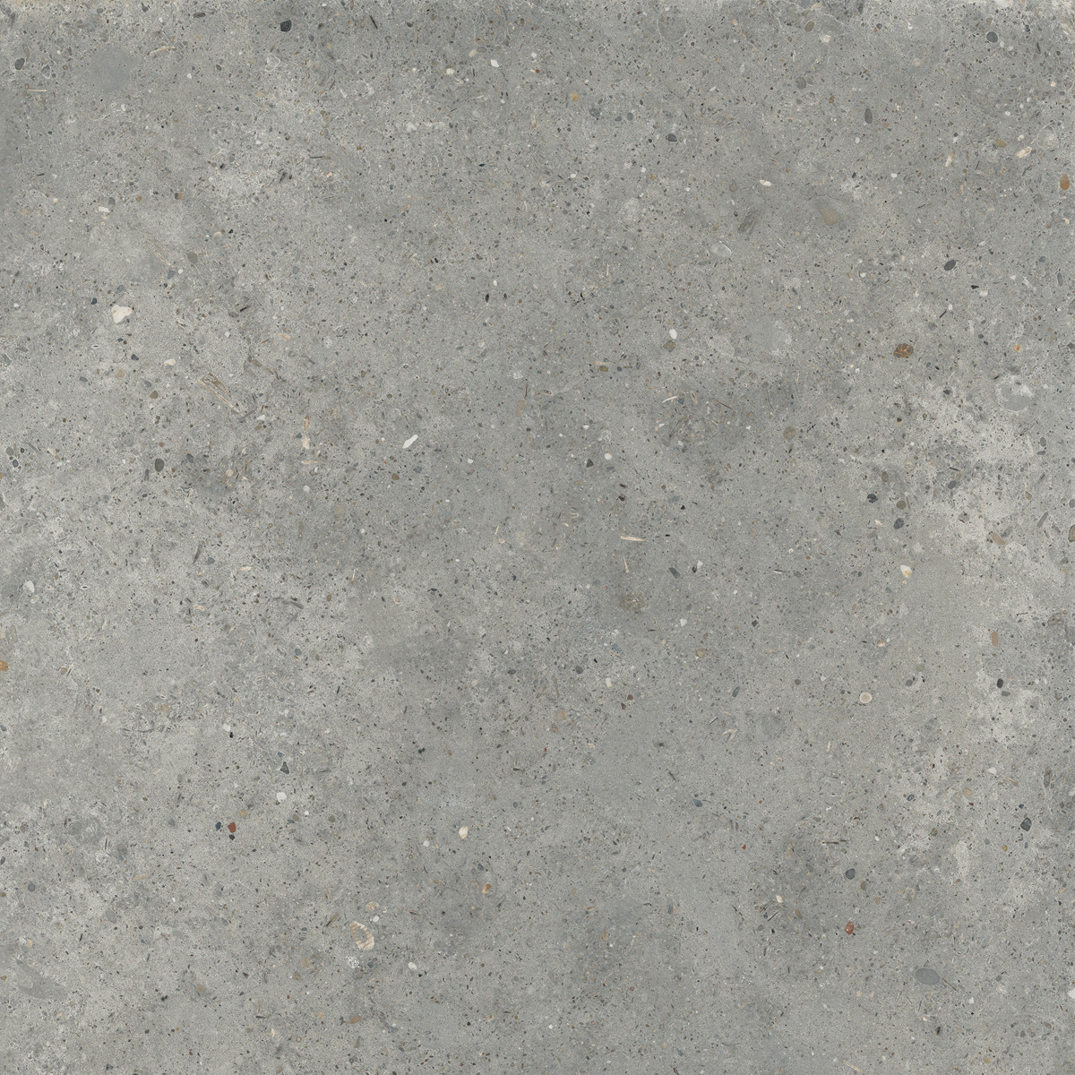 Керамогранит PTR.STONE PIRET N.GRET Y NAT RET 60X60 арт. 209157
