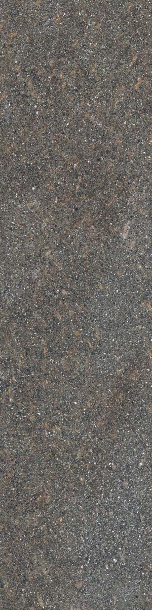 Керамогранит NATIVE FOREST RET  30X120 арт. 84524