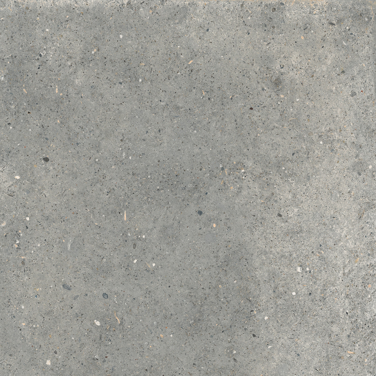Керамогранит PTR.STONE PIRET N.GRET Y NAT RET 60X60 арт. 209157