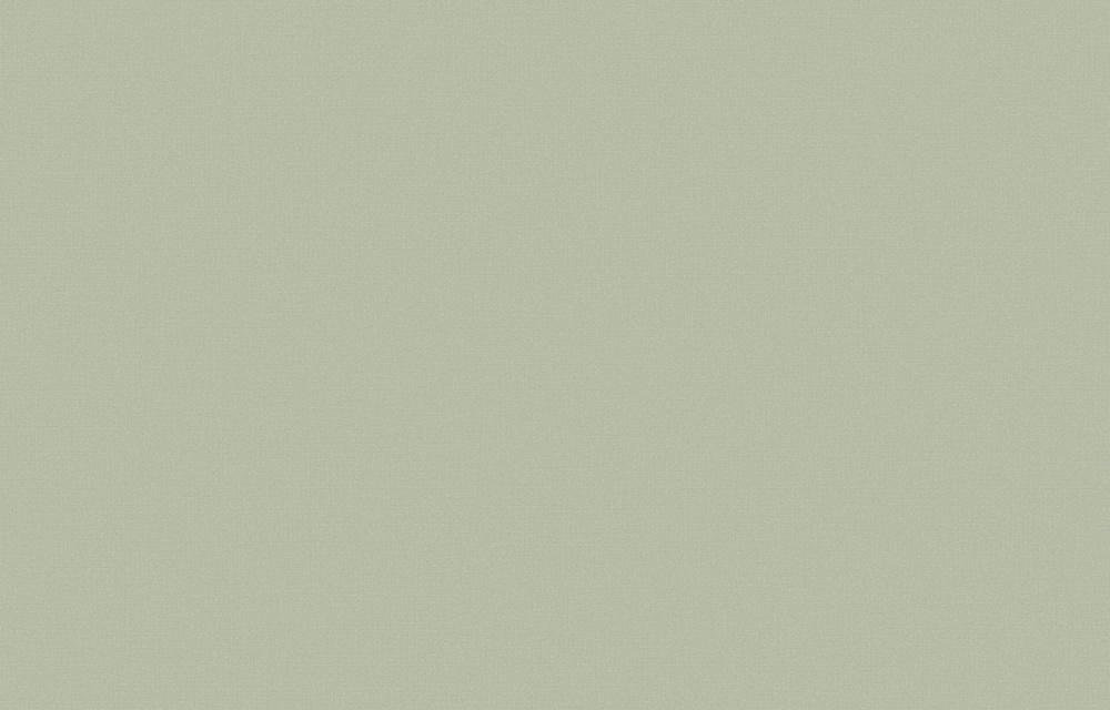 LOYMINA КОЛЛЕКЦИЯ A LA PRIMA. Plain cotton PM13 арт. 46093