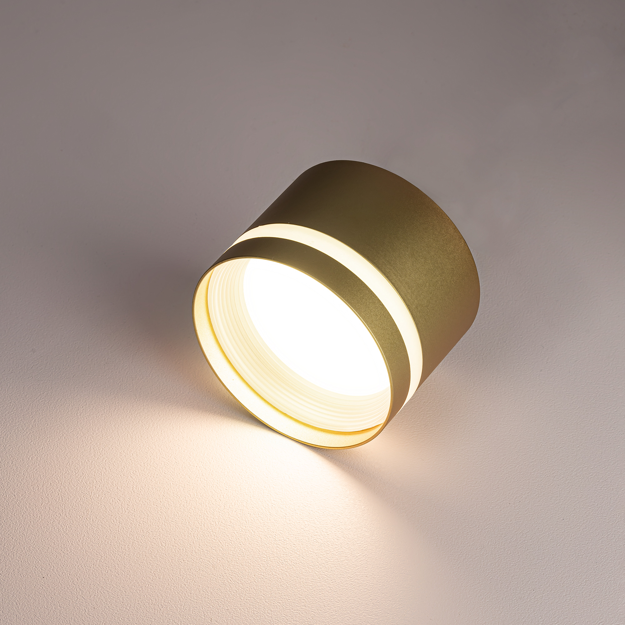 Citilux Hardy CL002C12 Светильник накладной Золото арт. 89324