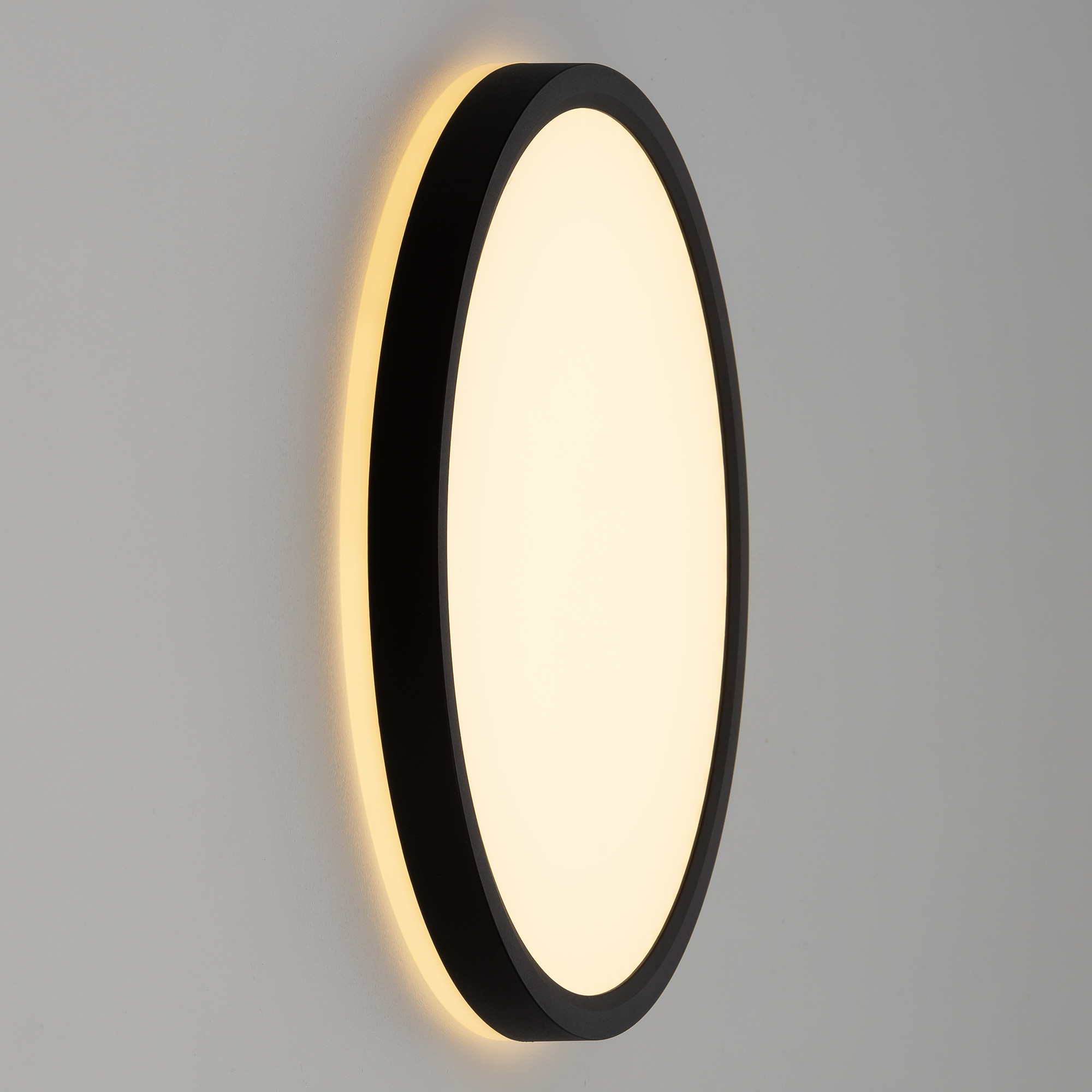 Citilux NORMA CL748241 LED Светильник с подсветкой Чёрный арт. 89304