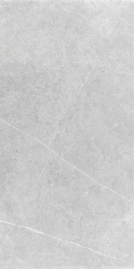NORTHON LIGHT GREY MT 60X120 арт. 74143