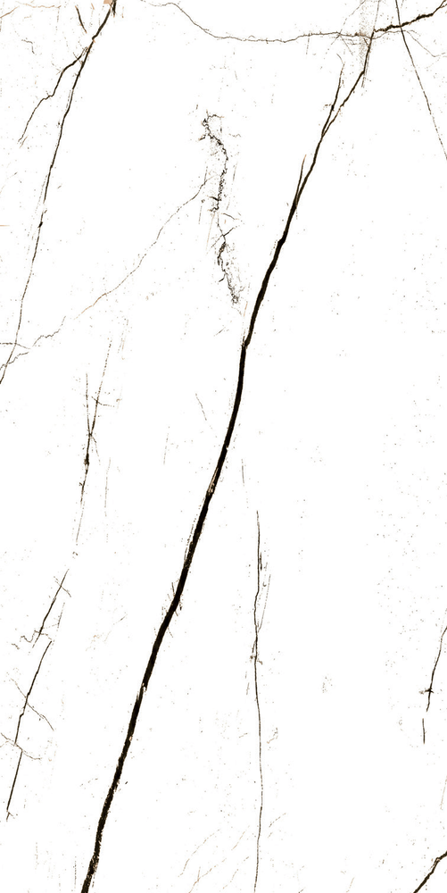 Плитка Elegance White Semi Polished Rectified 60х120 см арт. 128853