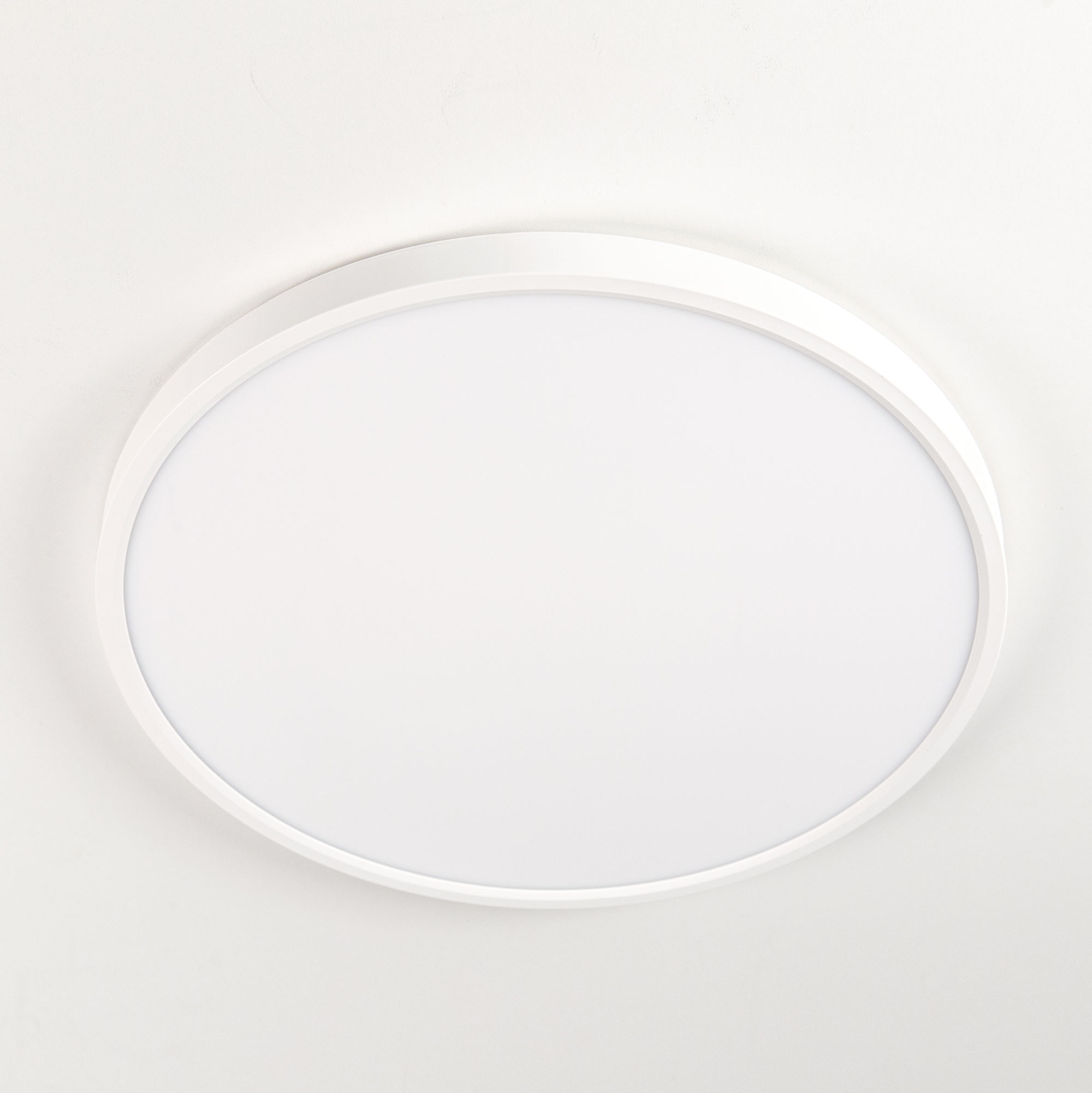 Citilux Бейсик CL738320V Светильник накладной Белый арт. 88458