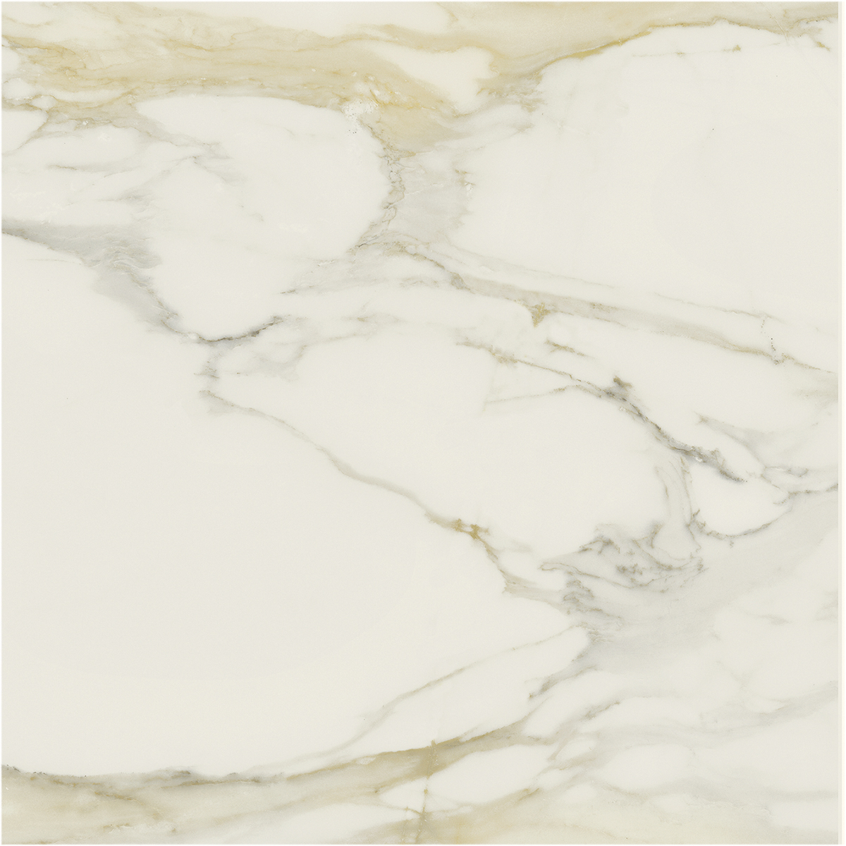 Керамогранит I CLASSICI CAL.GOLD 6MM MATTE 80X80 RET арт. 84900