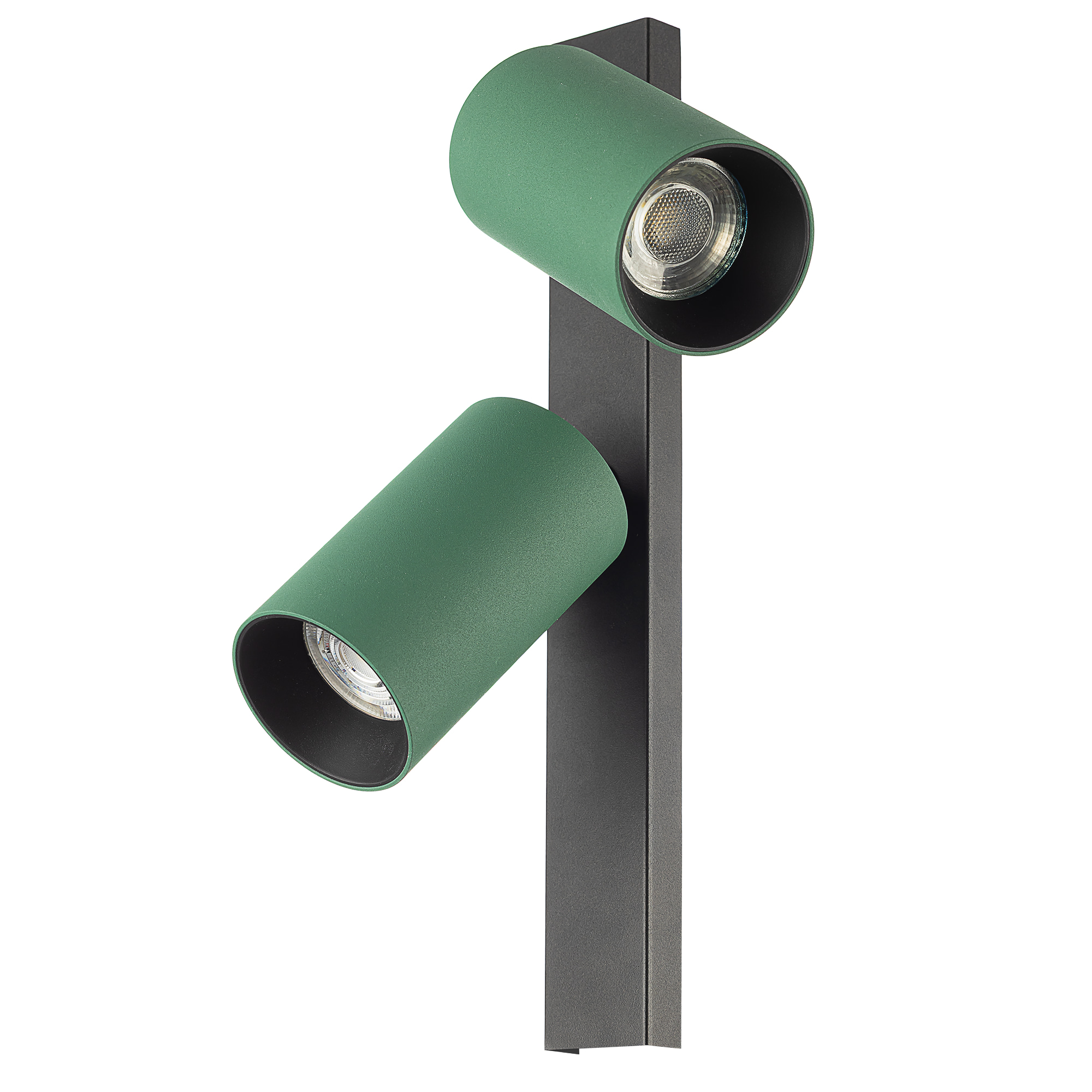 Citilux AXEL CL512525 Спот поворотный двойной Зелёный арт. 129439