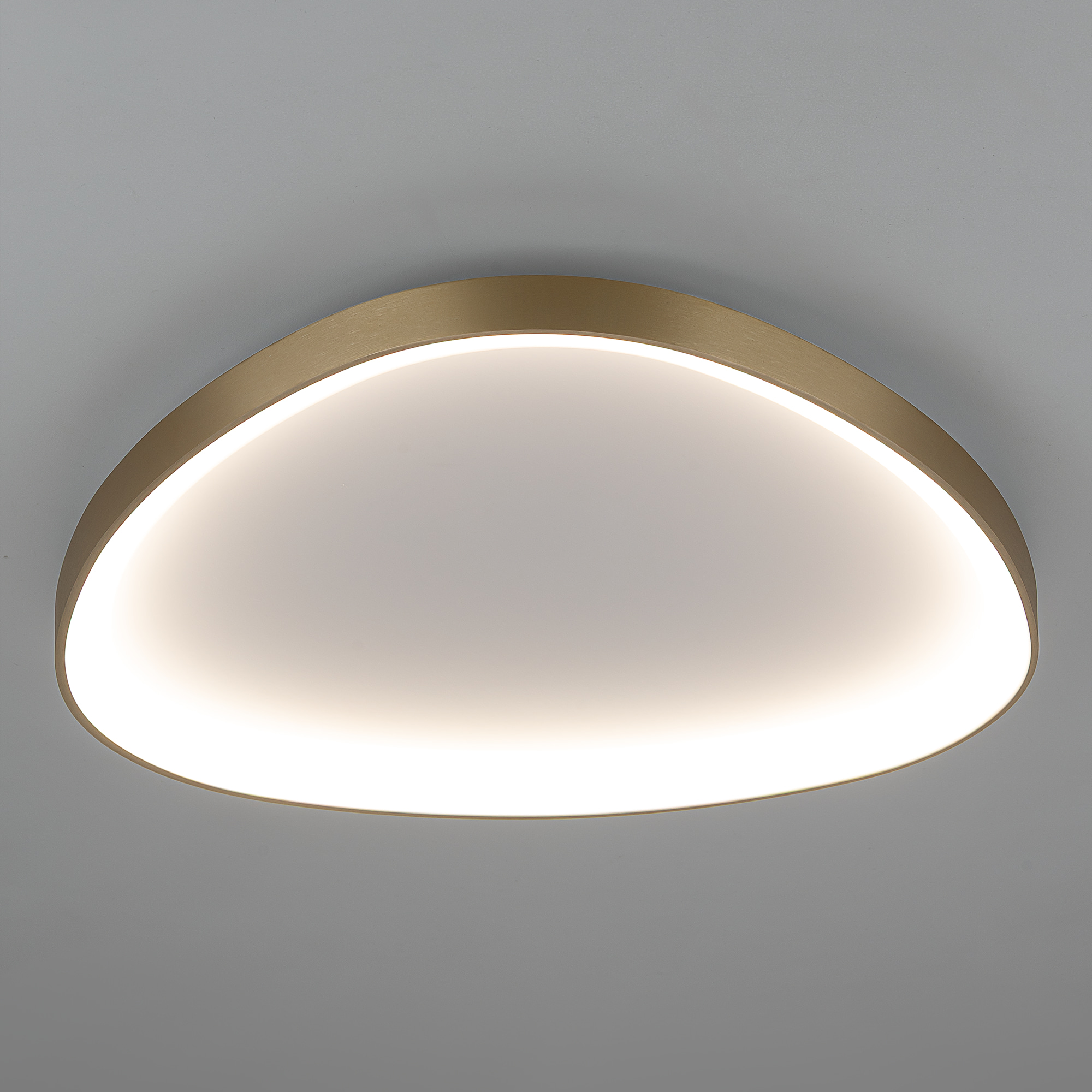 Citilux GENKA SMART CL756A162 LED Умная люстра арт. 89783