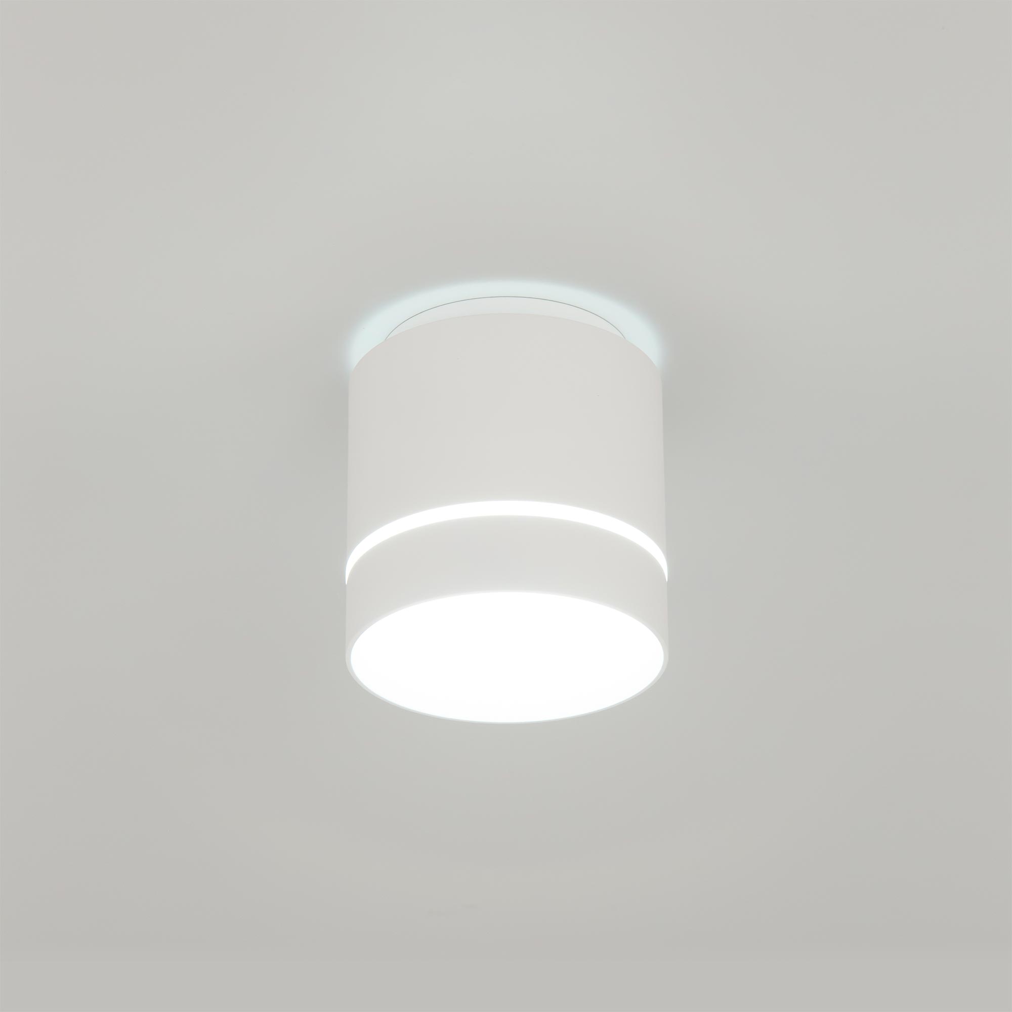 Citilux Борн CL745020N LED Светильник накладной Белый арт. 88671