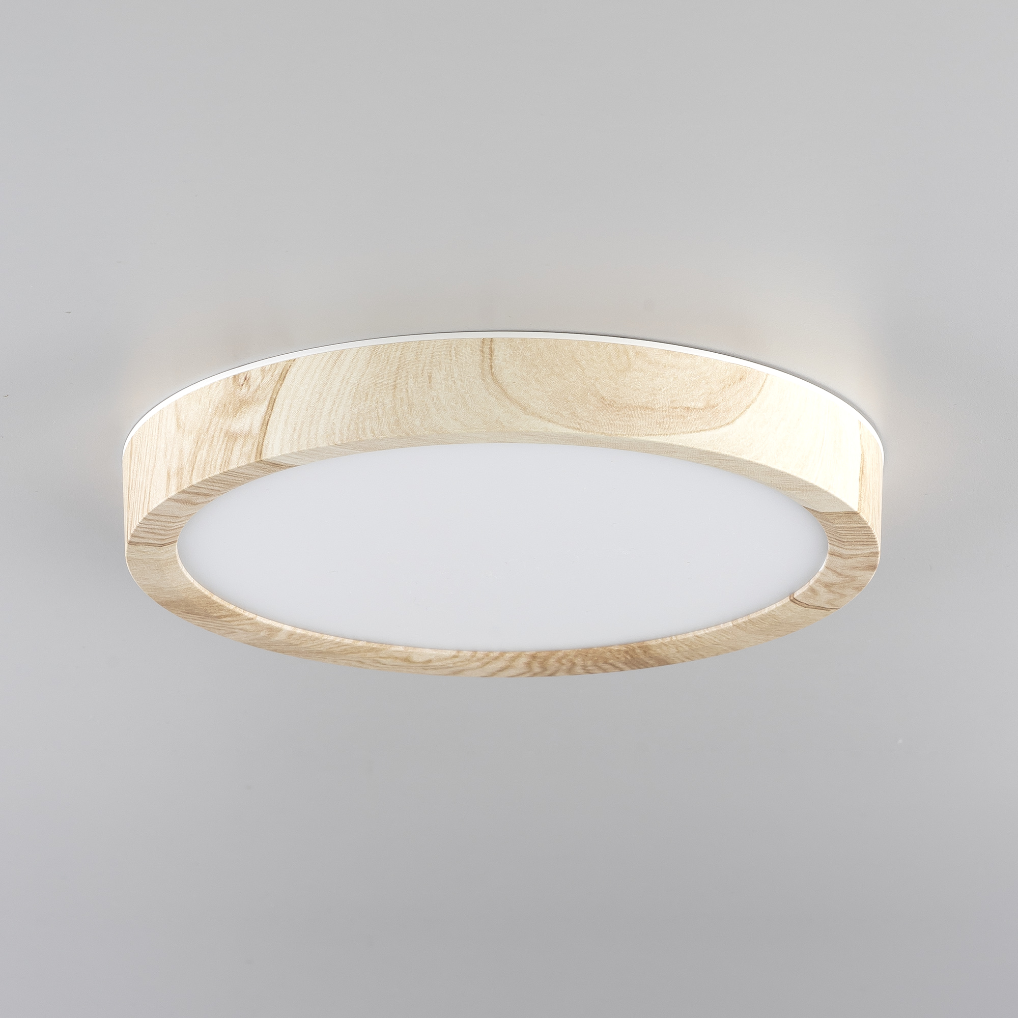 Citilux Бейсик CL738122N LED Светильник накладной Клён арт. 89192