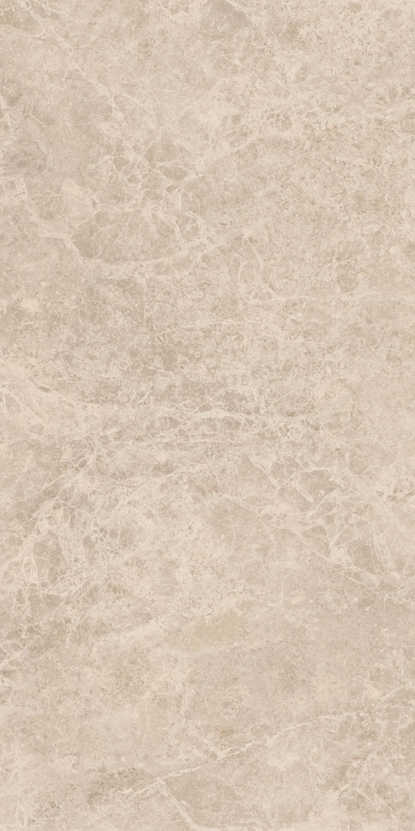 Керамогранит ERA DELIC. TAUPE NAT R60X120 арт. 126200