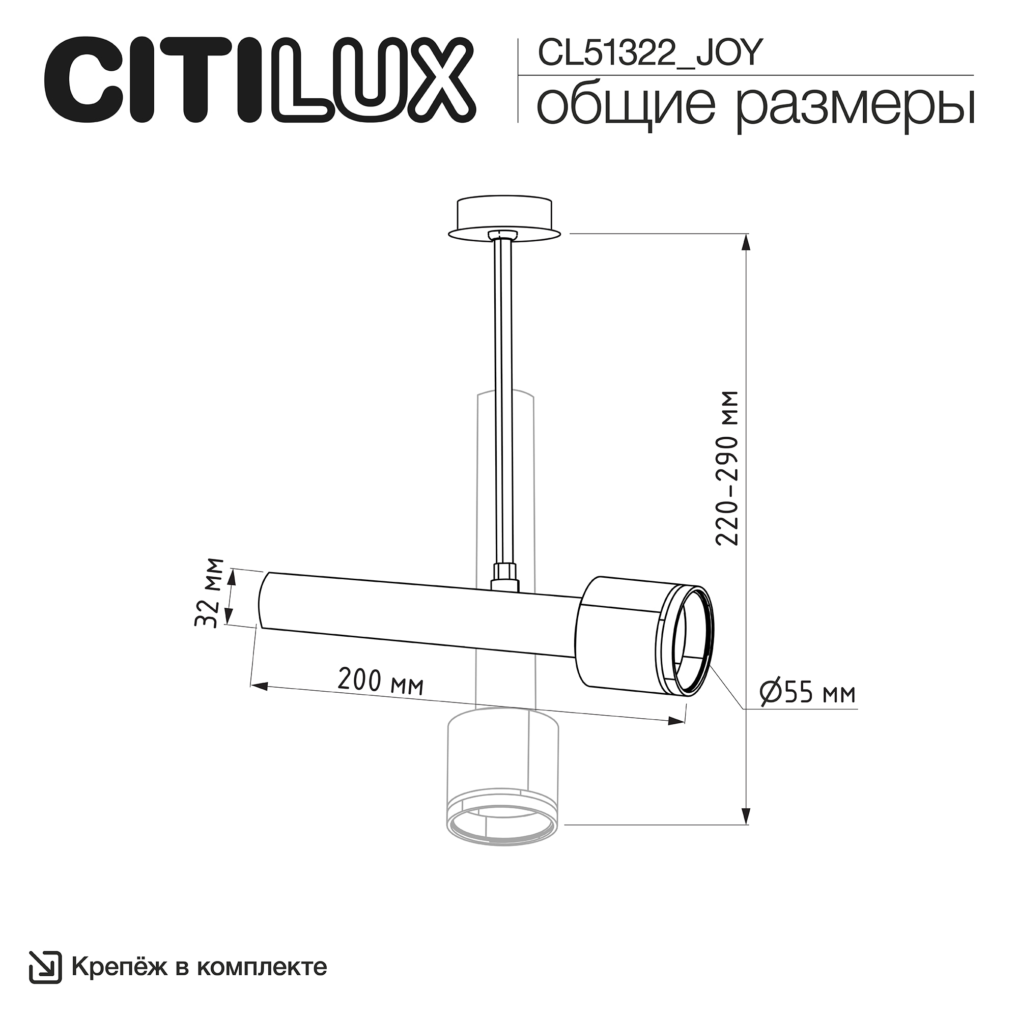 Citilux SkyPORT.10 VEKTOR CL51322_JOY Встраиваемый светильник на штанге Латунь 20см арт. 209857