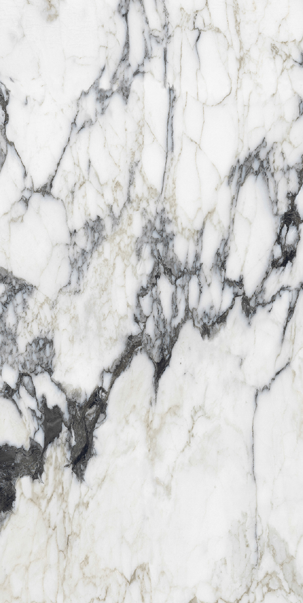 Керамогранит BIJOUX CALAC ALTISSIMO GLOSSY 60x120 RET арт. 83877