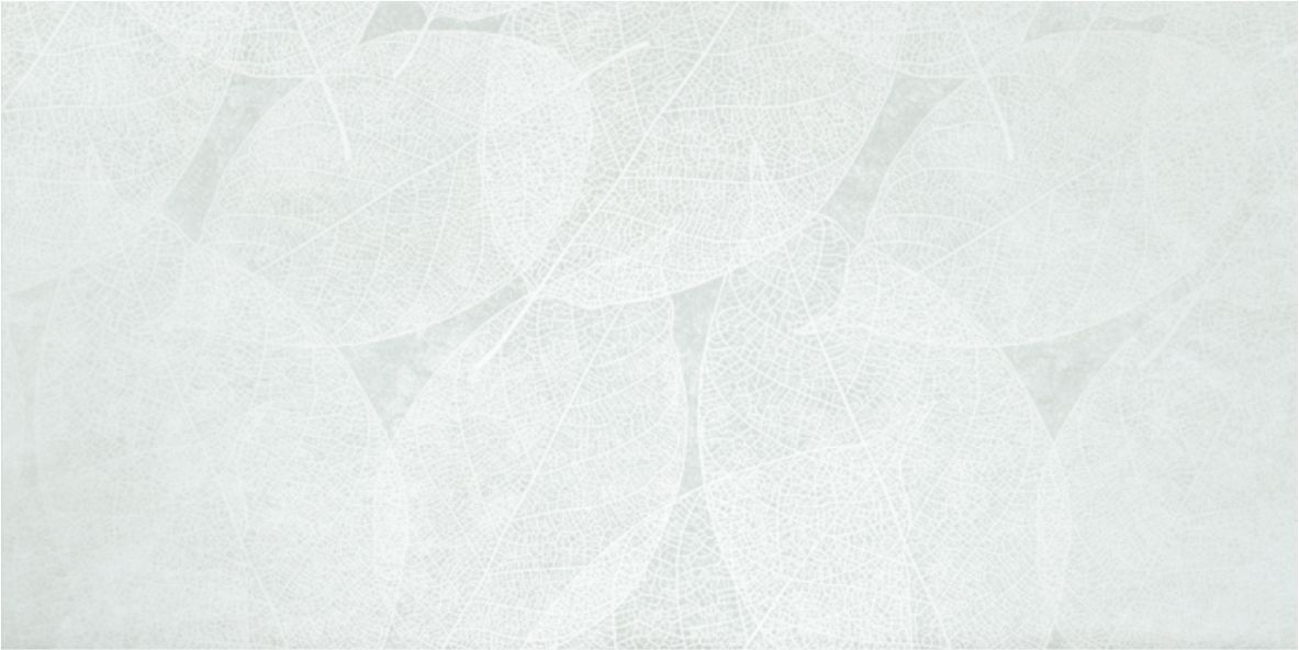 Керамогранит ELEGANZA Pale Arte Carving 60x120 арт. 71816