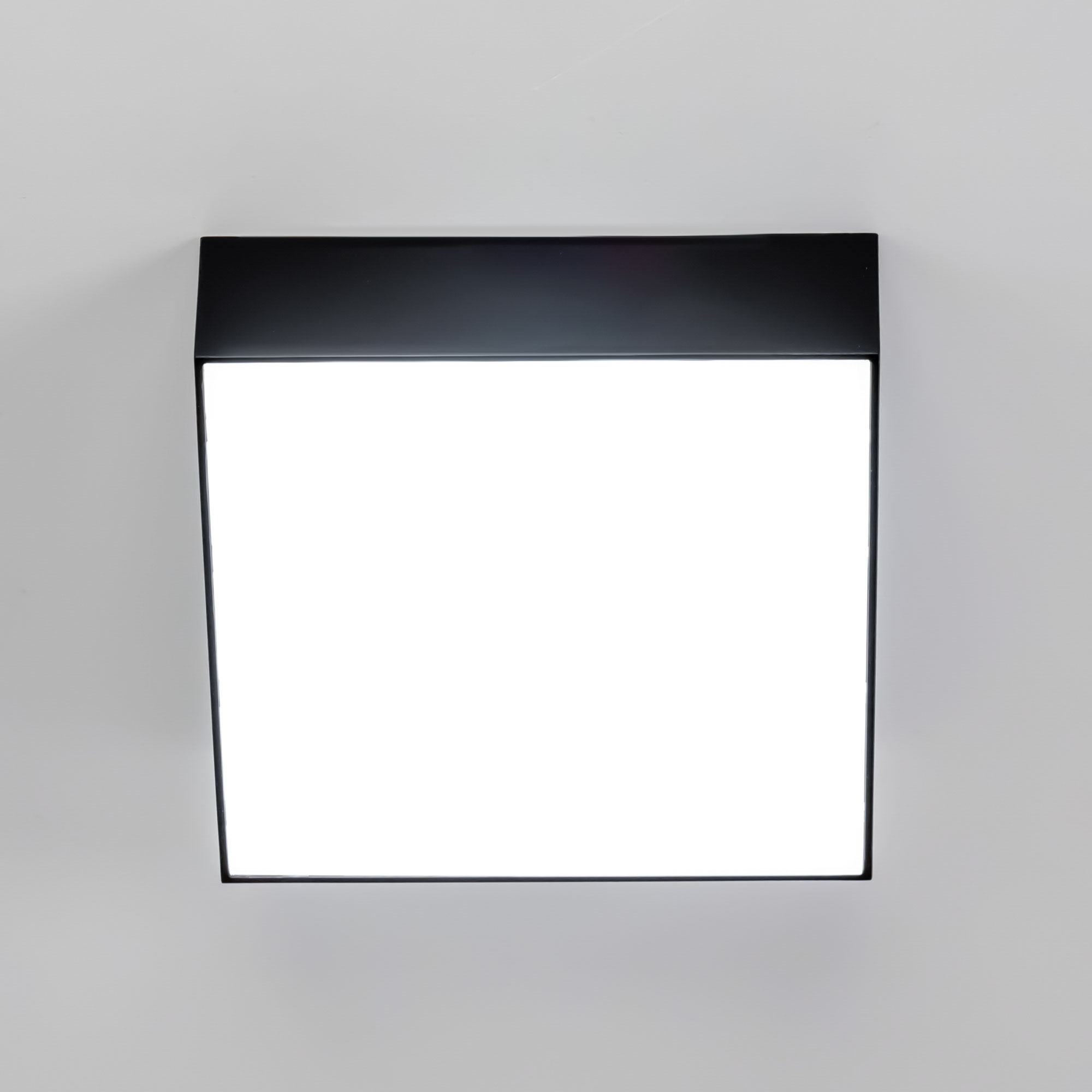 Citilux Тао CL712X122N LED Светильник потолочный с диммером Чёрный арт. 88031