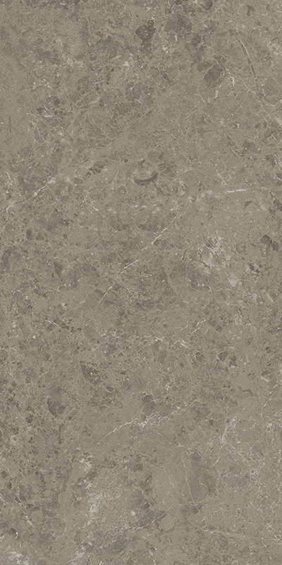 Marvel Meraviglia Grigio Elegante 60x120 Velvet арт. 79890