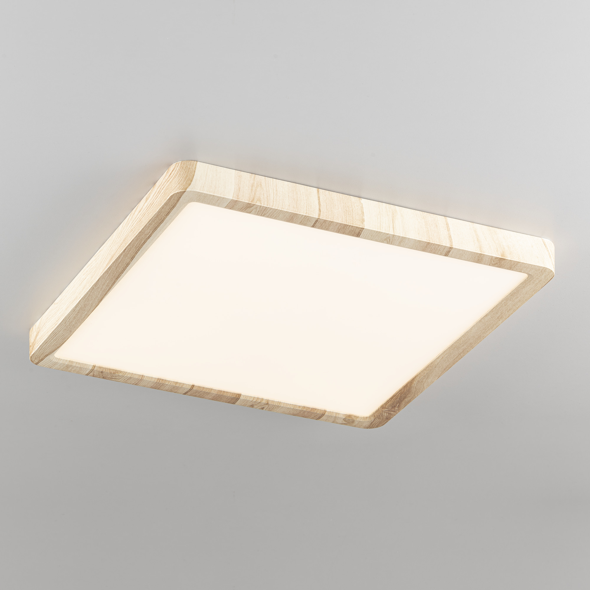 Citilux Бейсик CL738K242V LED Светильник накладной Клён арт. 89201