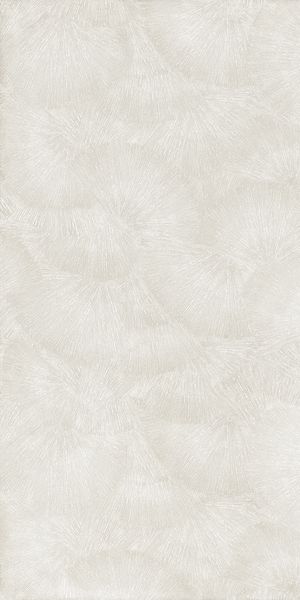Natural Resine Decoro Ventaglio Platino 60х120 арт. 57697