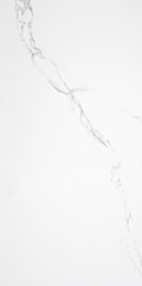 60*120 PORC. PUNE BLANCO MATE RECT арт. 128887