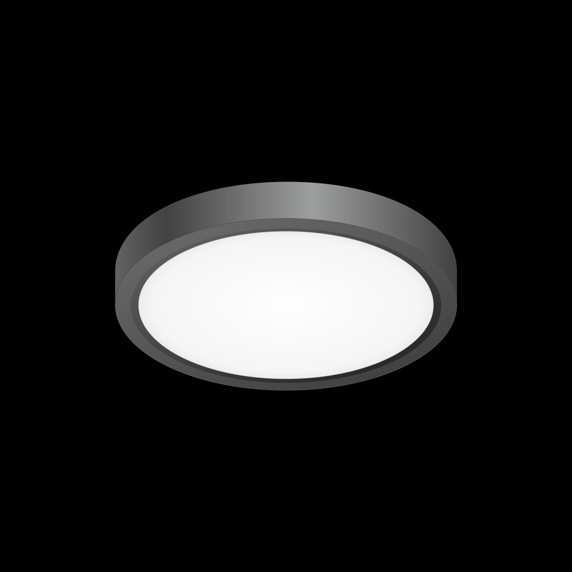 Citilux Бейсик CL738121N Светильник накладной Чёрный арт. 88456