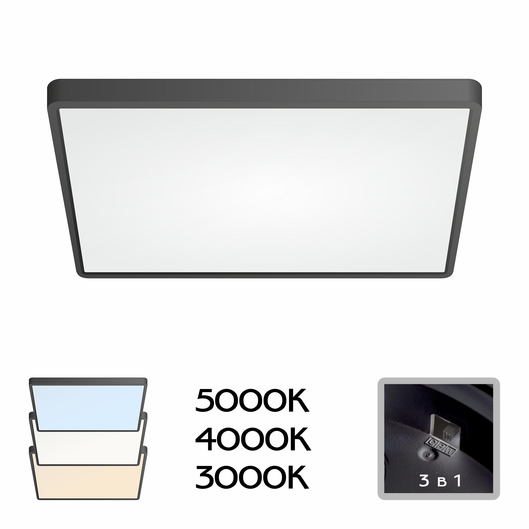 Citilux Бейсик CL738K501V Светильник накладной Чёрный арт. 88542