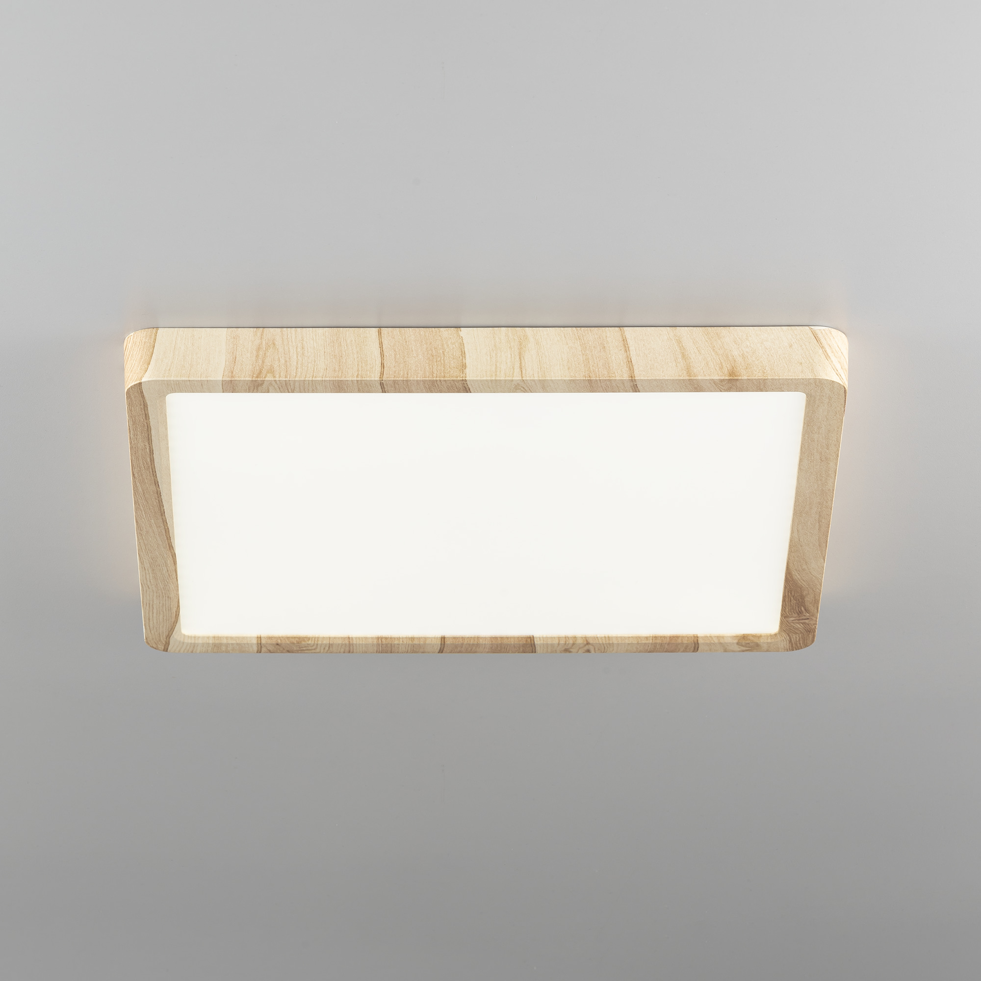 Citilux Бейсик CL738K242V LED Светильник накладной Клён арт. 89201