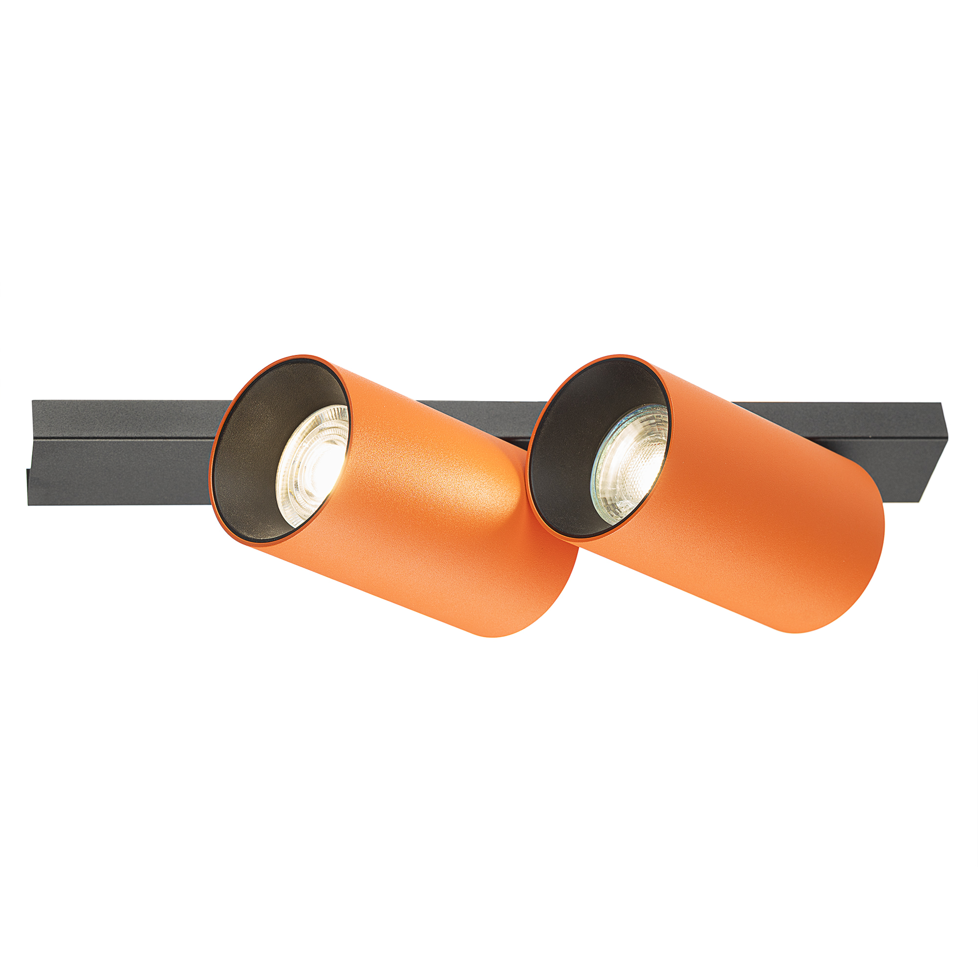 Citilux AXEL CL512524 Спот поворотный двойной Терракот арт. 129446