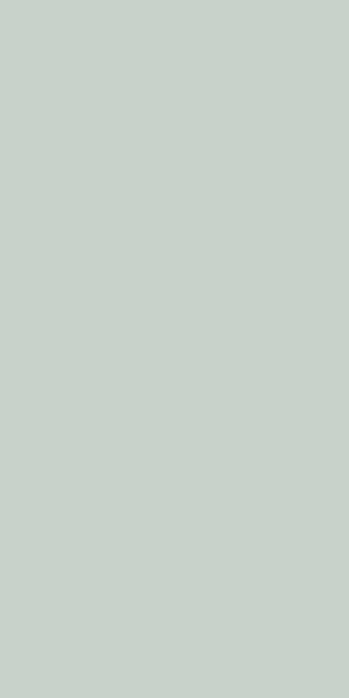 SIROS MENTA 60X120 REC. арт. 58615