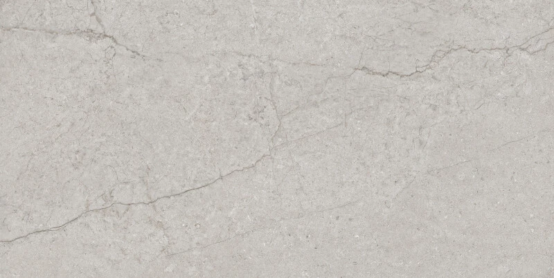 GARONA GRIS 60X120 REC. арт. 209394