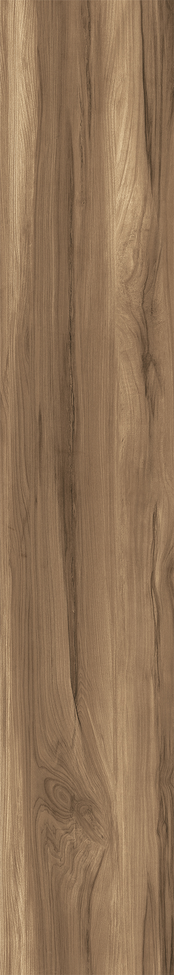 FOSSIL WOOD WENGE арт. 123091