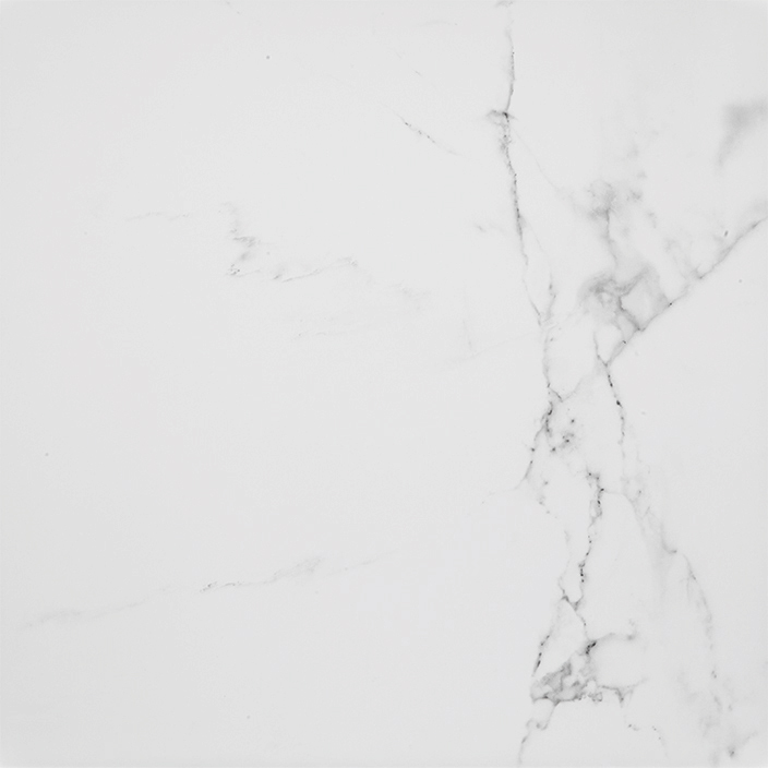 PORCELANOSA CARRARA BLANCO BRILLO L 59.6х59.6 G-347 арт. 41357
