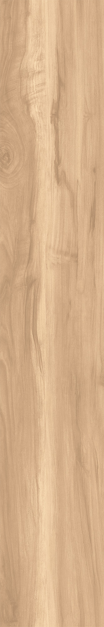 FOSSIL WOOD BRICH арт. 123080