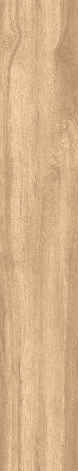 FOSSIL WOOD BRICH арт. 123080