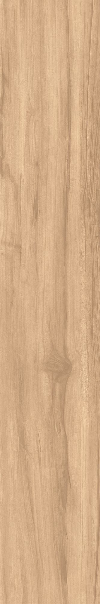 FOSSIL WOOD BRICH арт. 123080
