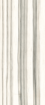 AE ZEB6 278 LP 120x278 арт. 215803