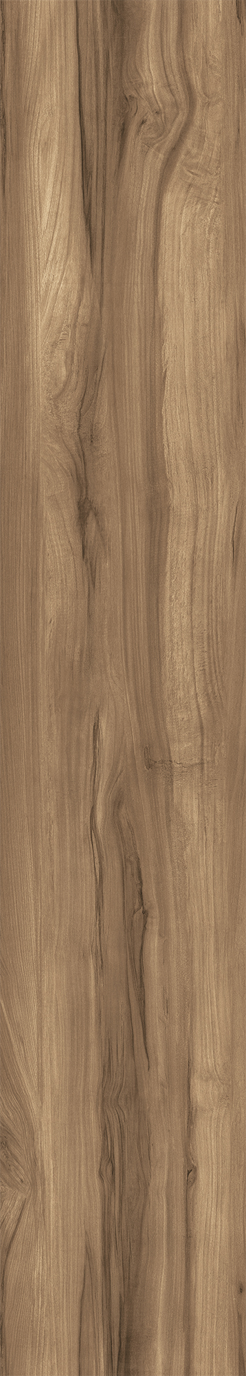 FOSSIL WOOD WENGE арт. 123091