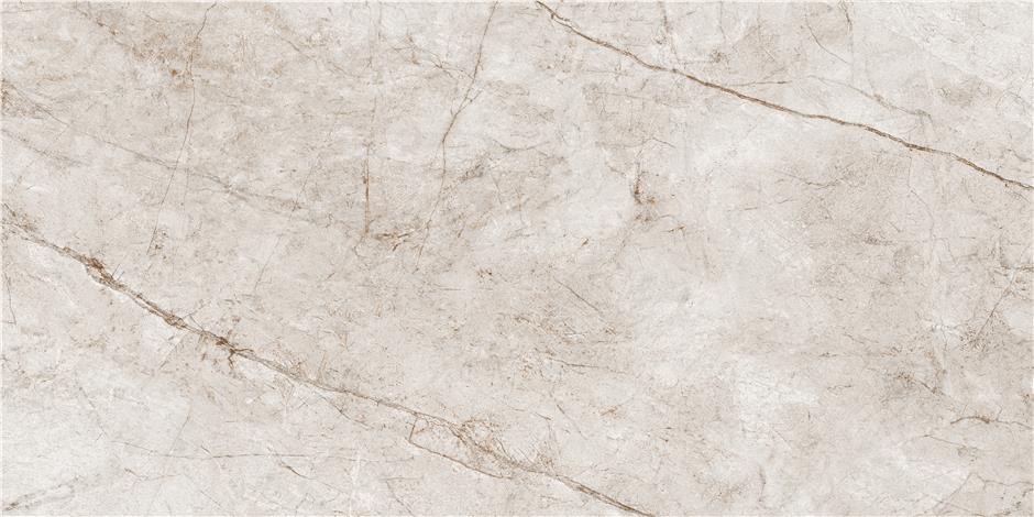 RAIN FOREST WHITE  MAT 60X120 RECT. арт. 58271