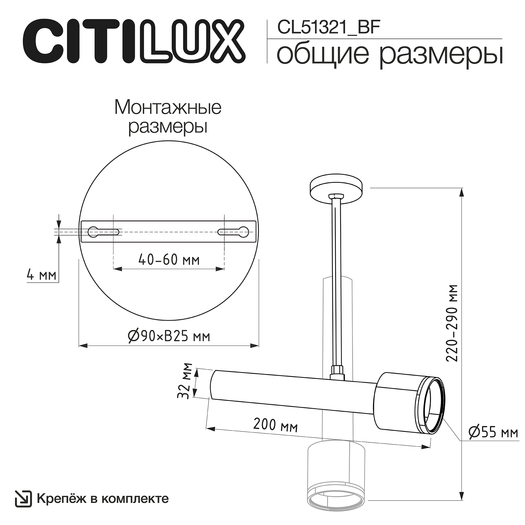 Citilux VEKTOR CL51321_BF Потолочный светильник на штанге Чёрный 20см арт. 209842