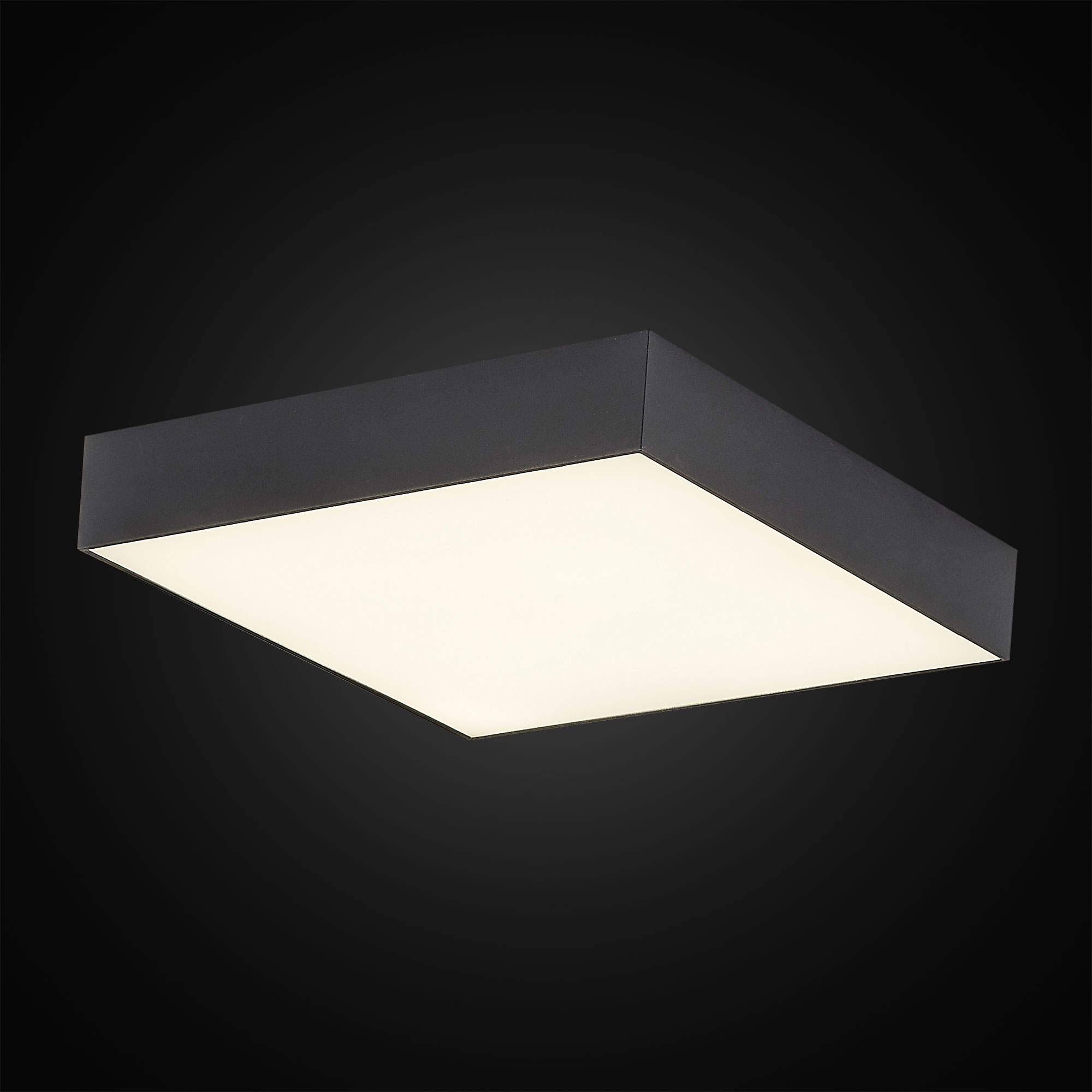 Citilux Тао CL712X242N LED Светильник потолочный с диммером Чёрный арт. 88359