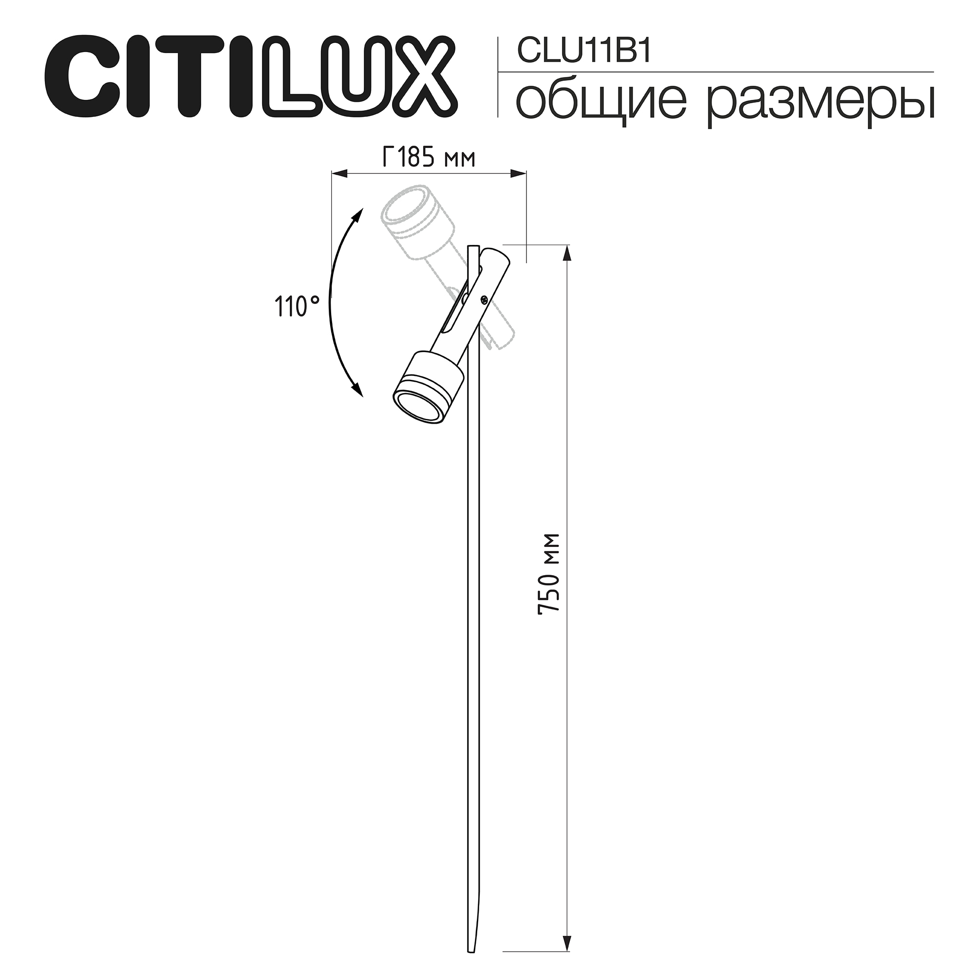 Citilux SPOTTER CLU11B1 Ландшафтный поворотный светильник Чёрный арт. 89813
