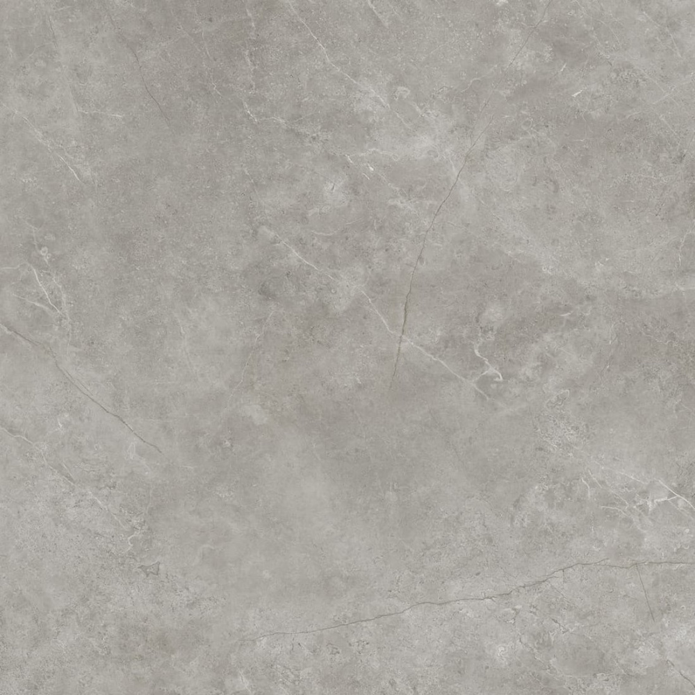 PORCELANOSA XLIGHT FIORI DI BOSCO SILK 120х120x6 G-2530 арт. 42213