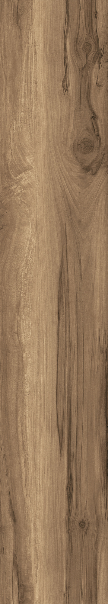 FOSSIL WOOD WENGE арт. 123091
