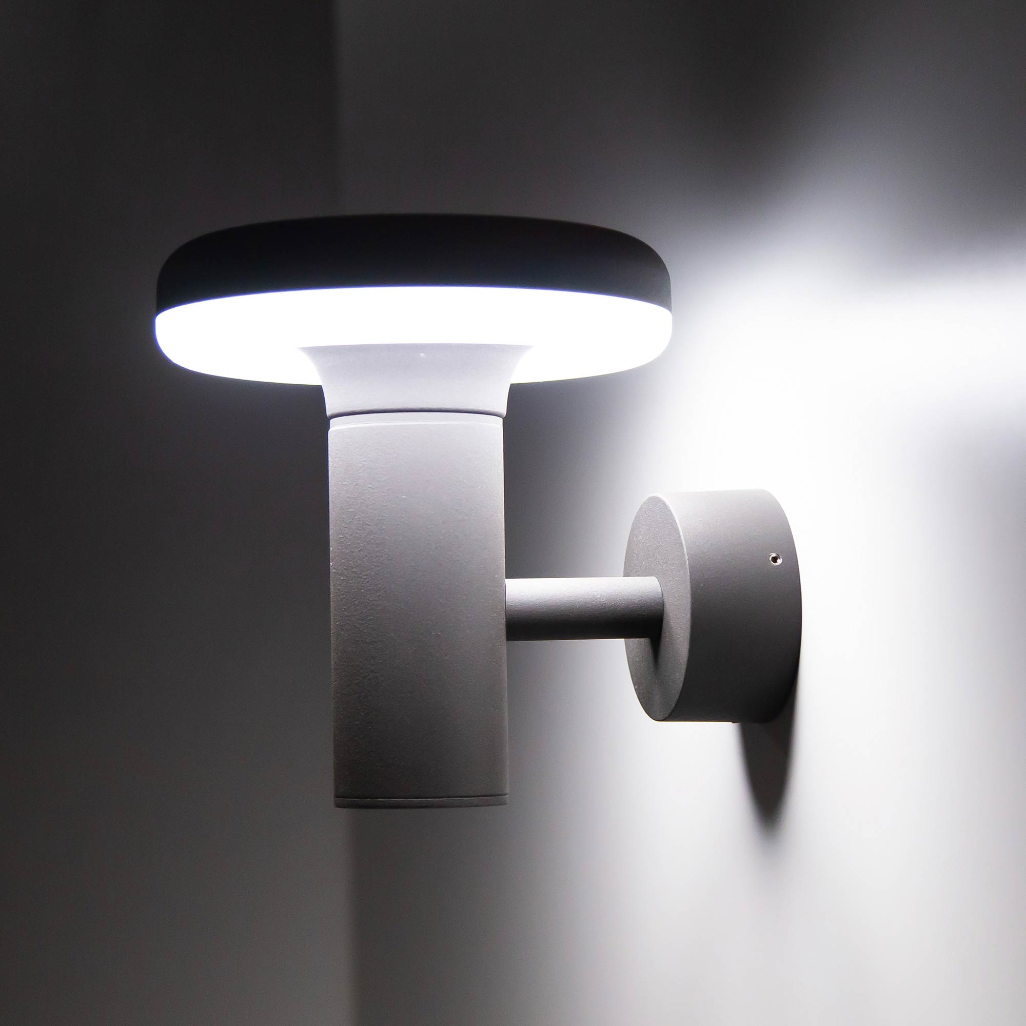 Citilux GARDA CLU01W LED Уличный настенный светильник Графит арт. 88388